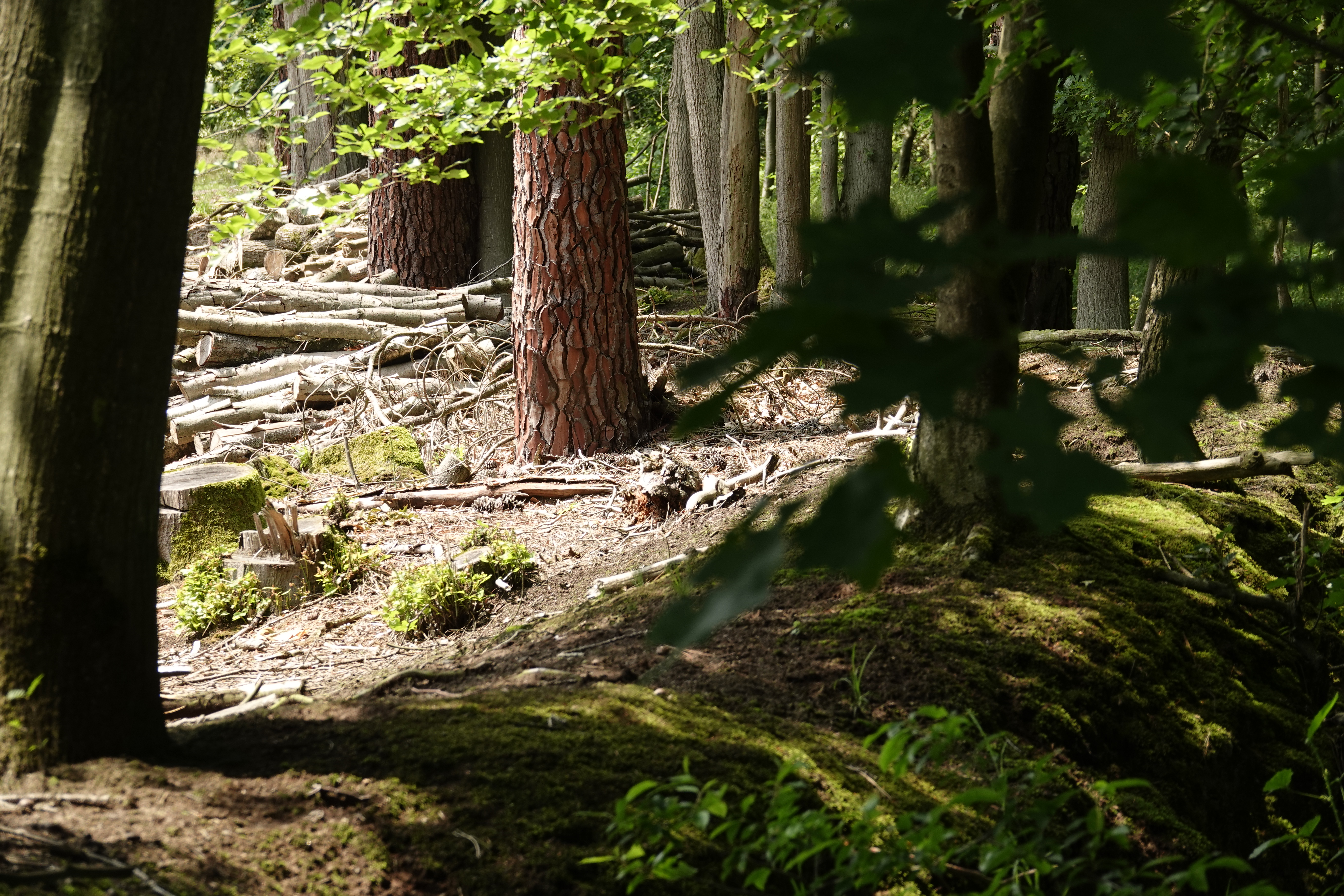 Fiscaliteit in privébossen