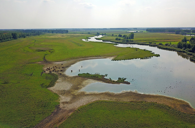t groot eiland privatief adaptief project evenement