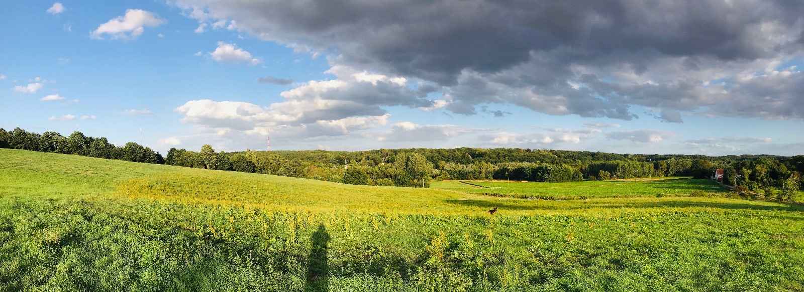 Definitieve Programmatische Aanpak Stikstofdeposities bekend (deel 1)