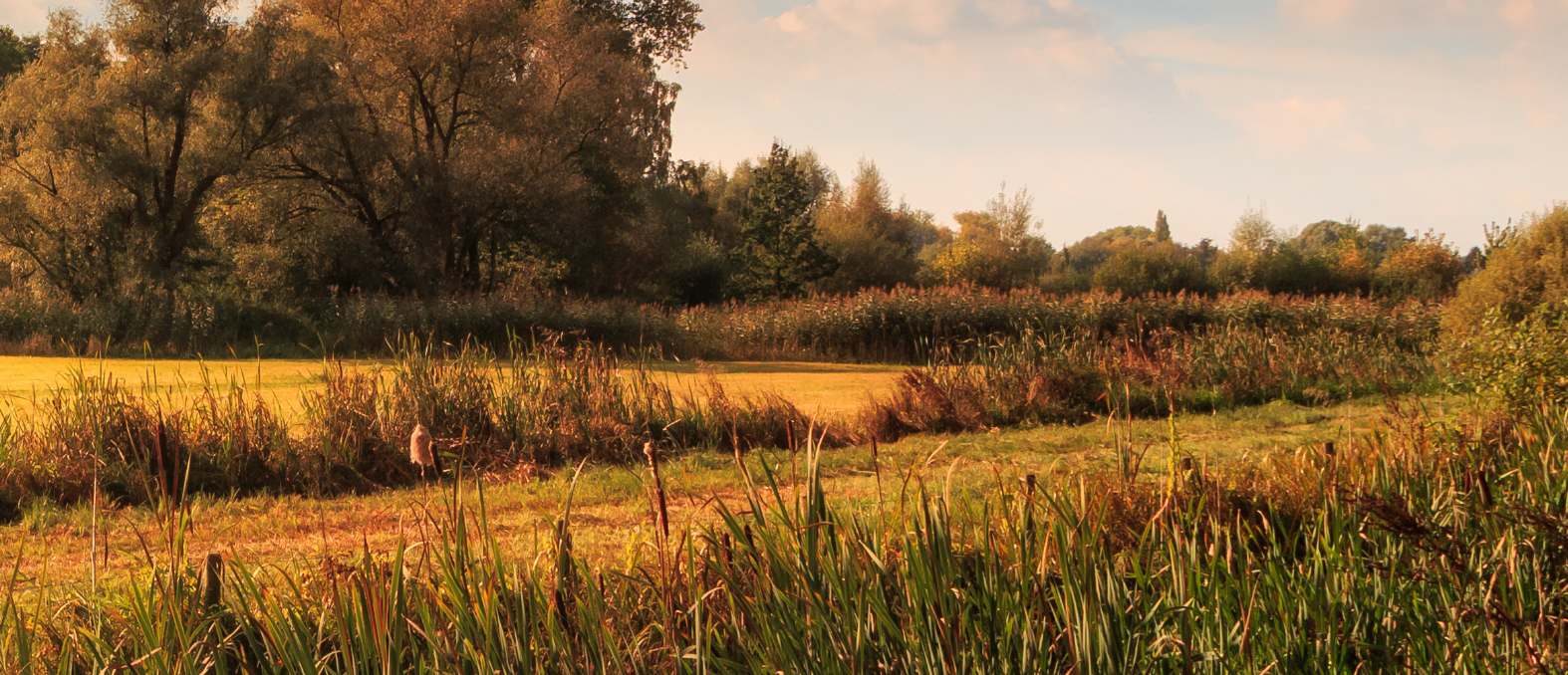 De toekomst van landbouw ligt in de bodem