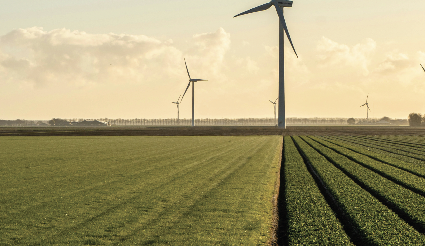 Verzilting van de polders