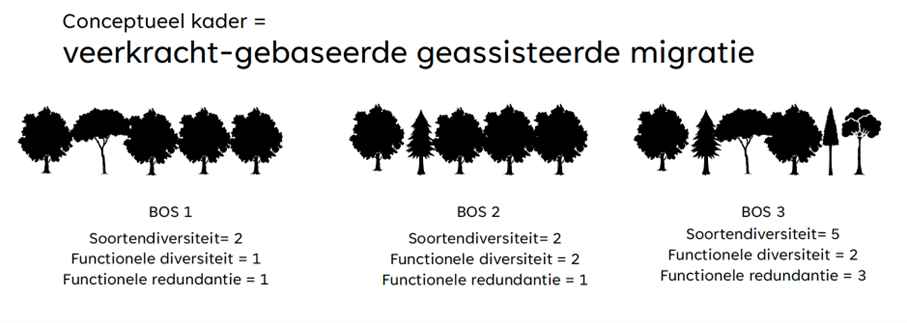 figuur 1 bij artikel inheemse boomsoorten