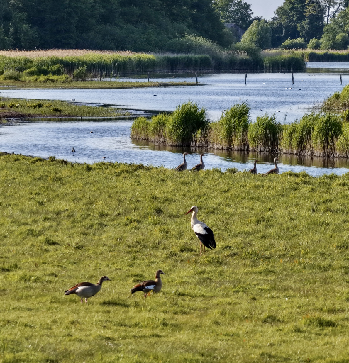 t groot eiland privatief adaptief project evenement 