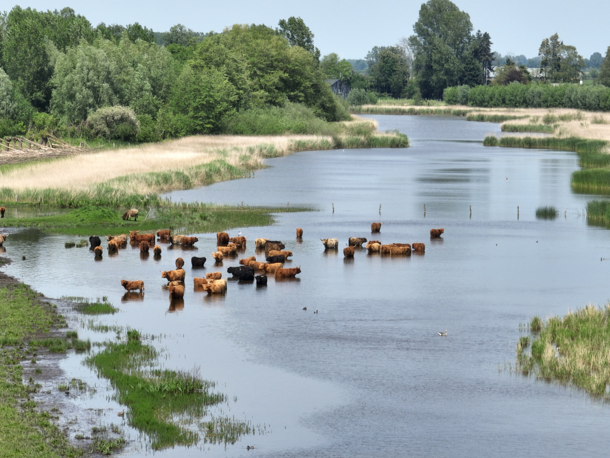 t groot eiland privatief adaptief project evenement 